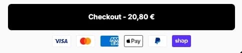 ConvertX payment icons under the checkout button: Visa, Mastercard, Amex, Apple Pay, PayPal and Shop Pay